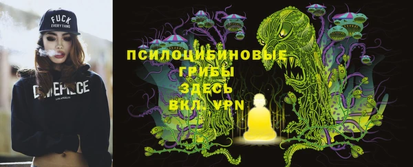 первитин Алексин